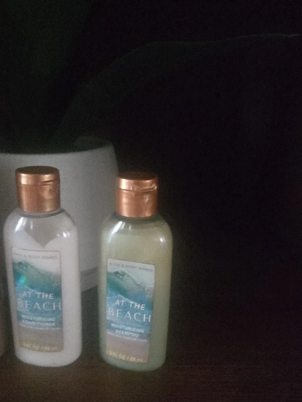 Shampoo and Conditioner -Into The Night & At The Beach
